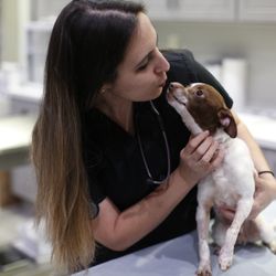 Oaks Veterinary Urgent Care