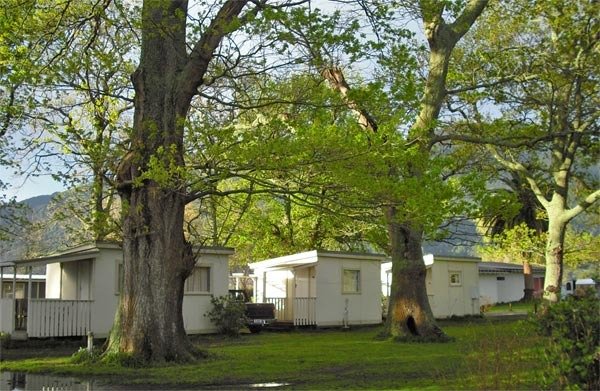 Te Aroha Holiday Park - Campground & Hot Pool by null