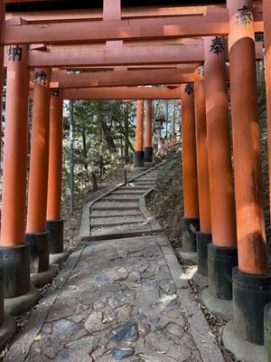 Senbon Torii (Thousand Torii Gates) by null