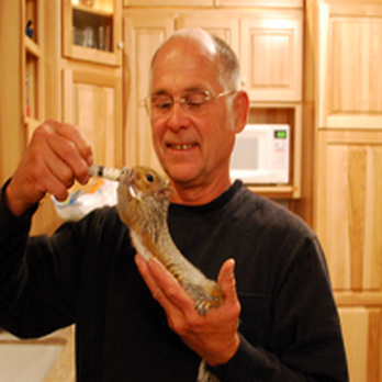 Central Whidbey Veterinary Services - Veterinarians Near Me - Coupeville, Washington Central Whidbey Veterinary Services - Veterinarians Near Me - Coupeville, Washington