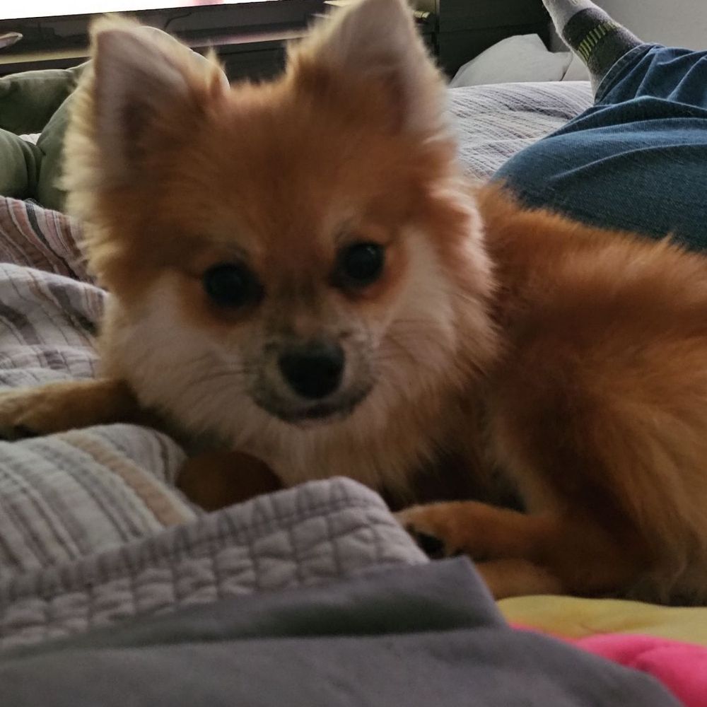 Coldwater Kennel - Pet Stores Near Me - Greene, Iowa Coldwater Kennel - Pet Stores Near Me - Greene, Iowa