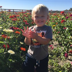 Rocky Creek Maze - Butterfly Garden