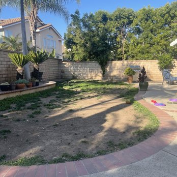 TPS Landscaping - Before - Landscaping Near Me TPS Landscaping - Before - Landscaping Near Me