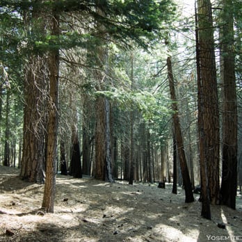 Hodgdon Meadow Campground - Campgrounds Near Me - Groveland, California Hodgdon Meadow Campground - Campgrounds Near Me - Groveland, California