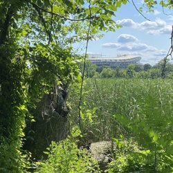 Kingman and Heritage Islands Park