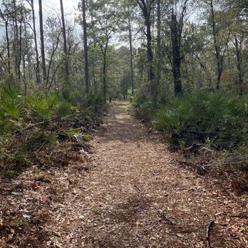 Jennings State Forest - Perfect Trail well maintained no ticks or chiggers - Hiking Near Me - Middleburg, Florida Jennings State Forest - Perfect Trail well maintained no ticks or chiggers - Hiking Near Me - Middleburg, Florida