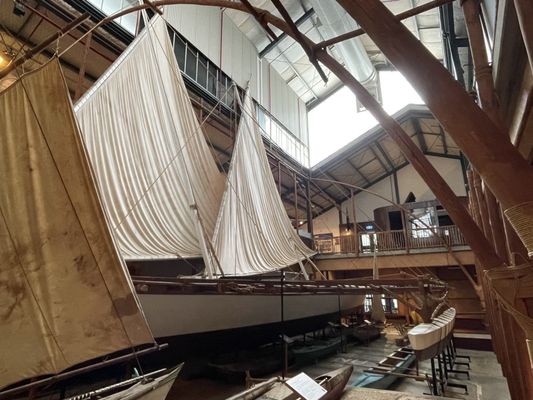 New Zealand Maritime Museum by null