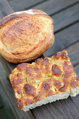 Ovenbird Bakery by null