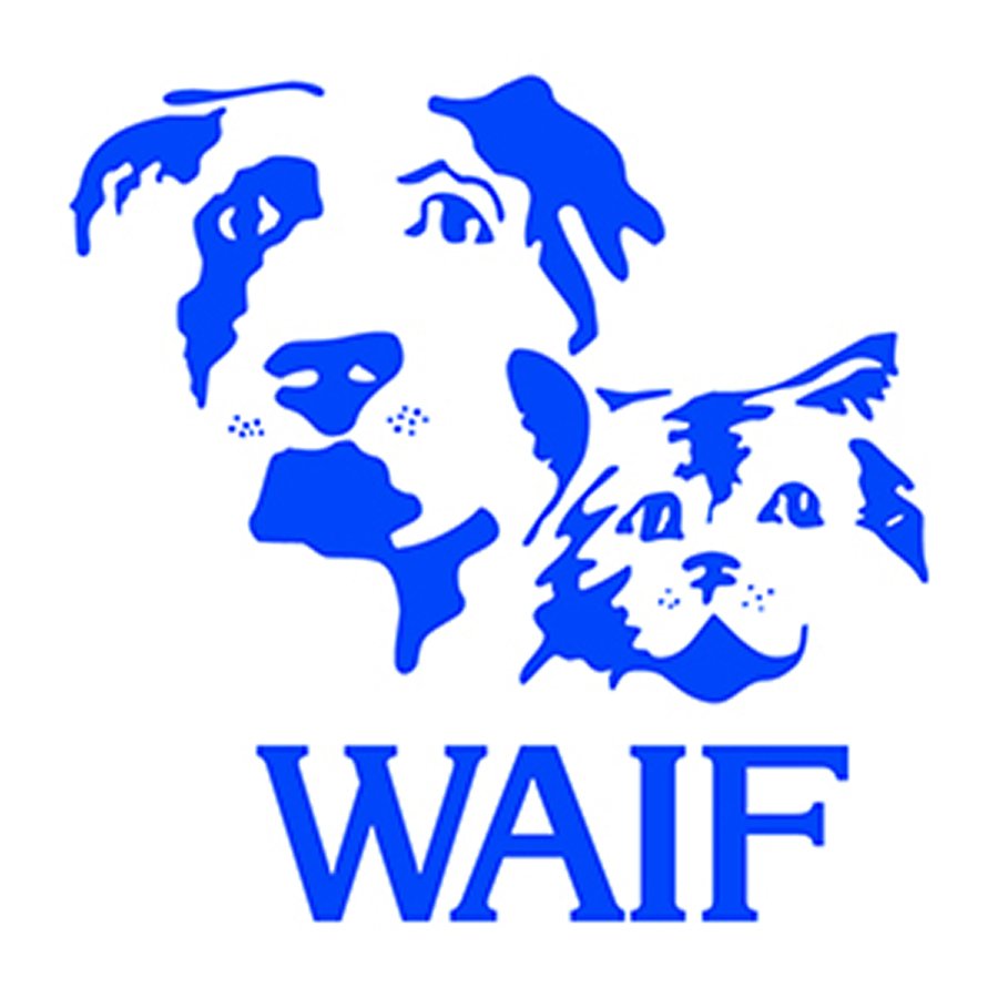 WAIF Animal Shelter Image