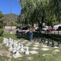 Mountain Lakes Resort