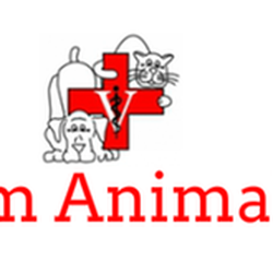 Bethlehem Animal Hospital - untitled