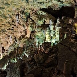 Nebelhöhle - Stalagmiten