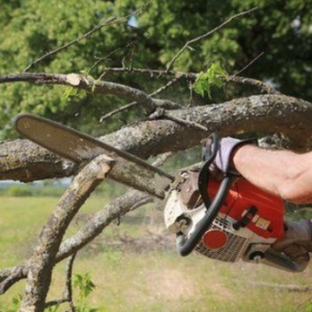 Keeping It Green - Tree Services Near Me - Loveland, Ohio