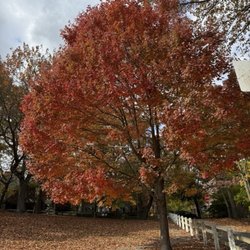 Amory Park