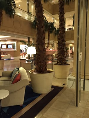 Oriental Hotel by null