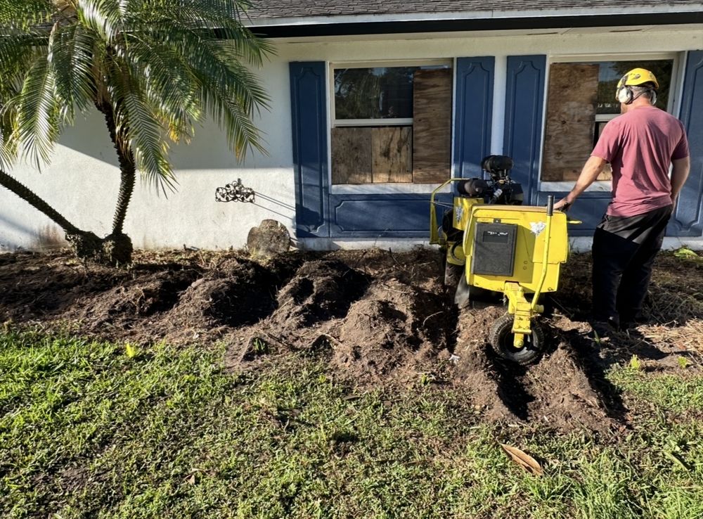 Barrs Tree Service - tree service in Orlando, FL