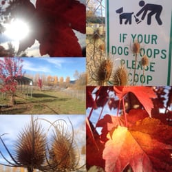 Frank Grasse Dog Park - Autumn
