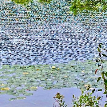 White Lake Lodges - Venues & Event Spaces Near Me - Forestport, New York White Lake Lodges - Venues & Event Spaces Near Me - Forestport, New York
