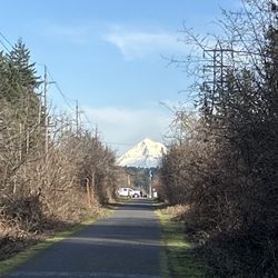 Springwater Corridor Trail - Mount Hood view from Springwater Corridor