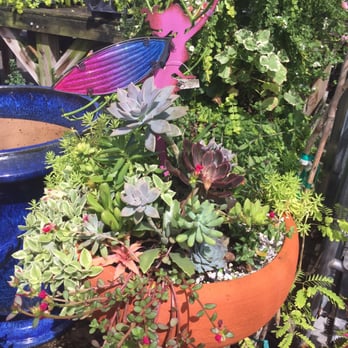 Bloom Garden Shop - Nurseries & Gardening Near Me - Tampa, Florida