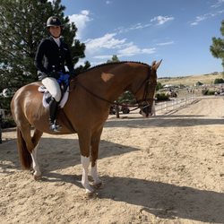 Equine Pavilion - Clean Sweep for Gabe two week in a row.
