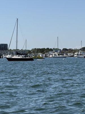 Lucky Catch Cruises by null