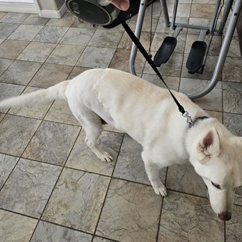 PetSmart - And Again - Pet Groomers Near Me - Las Vegas, Nevada PetSmart - And Again - Pet Groomers Near Me - Las Vegas, Nevada