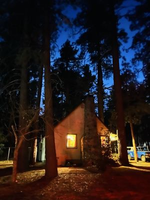 Grizzly Cafe by null