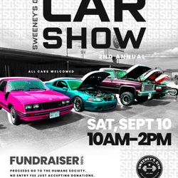 Sweeney's Gym - Promoting mental health through cars and dogs!