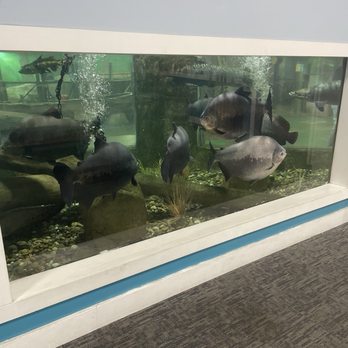 SeaQuest - Folsom - So much to see. Passes are good all day! - Aquariums Near Me - Folsom, California SeaQuest - Folsom - So much to see. Passes are good all day! - Aquariums Near Me - Folsom, California