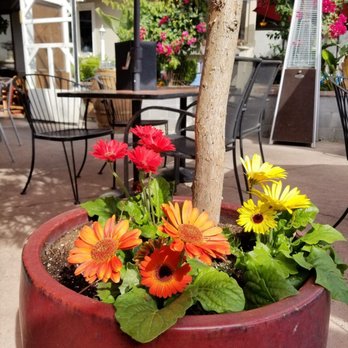 El Jardin - Patio seating with beautiful flowers  around - Mexican Near Me - Turlock, California