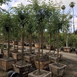 T & R Nurseries