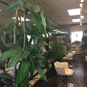 Hair Artistry Design Studio - Hair Salons Near Me - Albuquerque, New Mexico