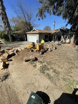 Tree services - Time to remove those dead trees and trim back that spring growth. Call us today!