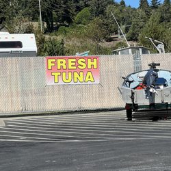 Pacific Ocean Harvesters - Harbor