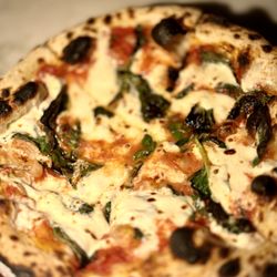 user provided Dante Beverly Hills photo