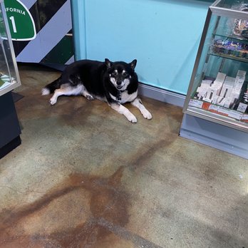 Lytt - Such a cutie! - Cannabis Dispensaries Near Me - Pacifica, California Lytt - Such a cutie! - Cannabis Dispensaries Near Me - Pacifica, California