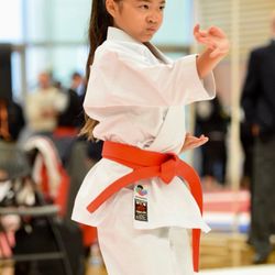 Bushido Kai Karate-do - Bushido Kai Karate-Do competes under the United States National Karate Federation, which is overseen by the U.S Olympic Committee
