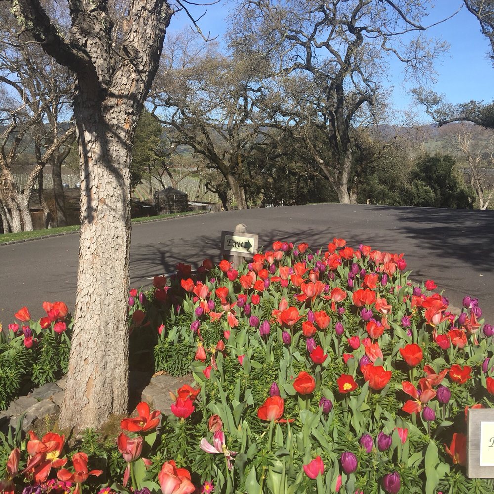 Far Niente - Wineries Near Me - Oakville, California Far Niente - Wineries Near Me - Oakville, California