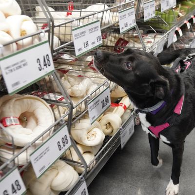 Pet Supplies Plus Berkeley Heights
