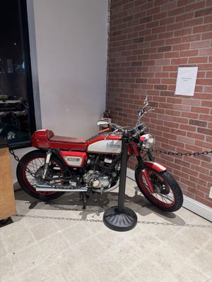 Black Salt & Black Sugar by null