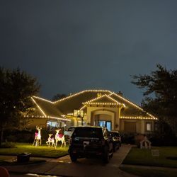 Wayne's Christmas Lights