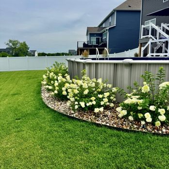 Ross & Jack's Landscaping - Beautiful hydrangeas that go all around the pool. They also did the rocks. - Landscaping Near Me - Elmhurst, Illinois Ross & Jack's Landscaping - Beautiful hydrangeas that go all around the pool. They also did the rocks. - Landscaping Near Me - Elmhurst, Illinois