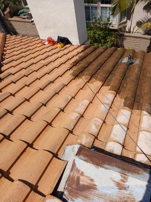 Cali Roof Cleaning