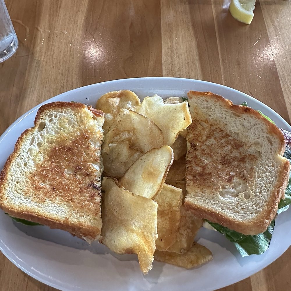 Crazy Cat Eat Up - Grilled Turkey & Brie - Bakeries Near Me - Jackson, Mississippi Crazy Cat Eat Up - Grilled Turkey & Brie - Bakeries Near Me - Jackson, Mississippi
