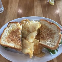 Crazy Cat Eat Up - Grilled Turkey & Brie