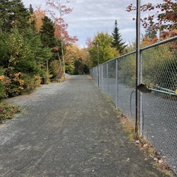 Paws Off leash - Fall time