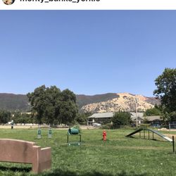 Dog Parks