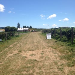 West Union Farmer's Market