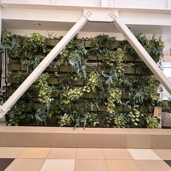 Cheyenne Botanic Gardens - Greenery wall - Botanical Gardens Near Me - Cheyenne, Wyoming Cheyenne Botanic Gardens - Greenery wall - Botanical Gardens Near Me - Cheyenne, Wyoming